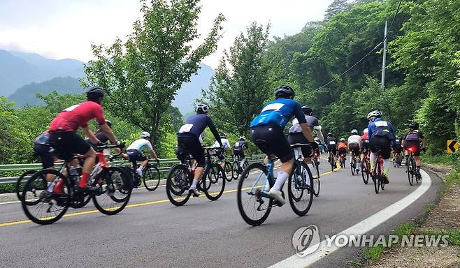 역주하는 선수들 [인제군 제공·연합뉴스 자료사진]