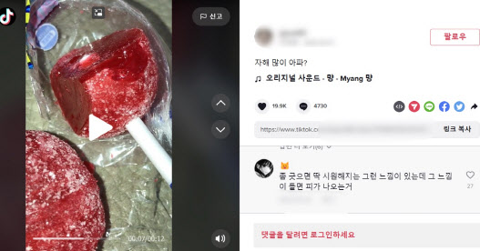 소셜미디어 ‘틱톡’에 자해 관련 내용을 올리고 있는 청소년들의 모습. (사진=틱톡 캡처)