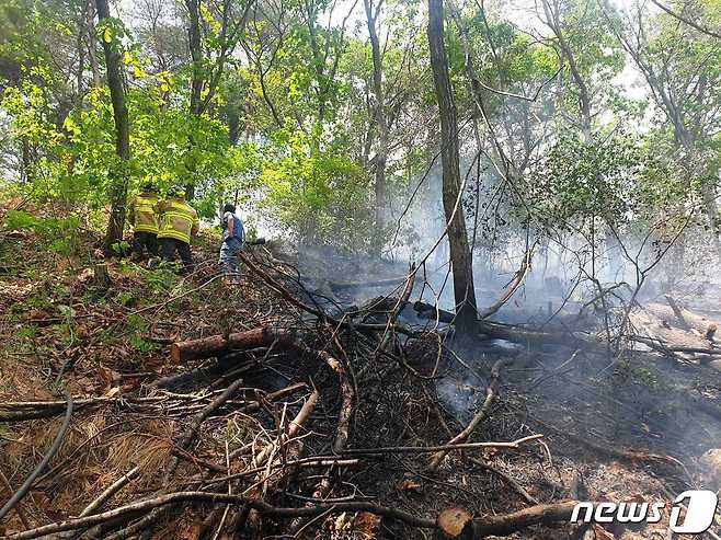 강원 화천 사내면 사창리 산불 현장.(강원도소방본부 제공)