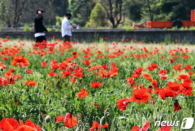 목요일인 11일 충북·세종은 대체로 맑고 다소 더운 날씨가 이어지겠다.(사진은 기사 내용과 무관함)/뉴스1