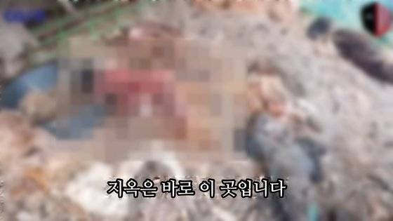 경기 양평군 자택에서 개 1200여마리를 굶겨 죽인 혐의를 받는 이모(67)씨 마당에 개 사체가 쌓여 있다. 이씨는 11일 동물보호법 위반 혐의로 징역 3년을 선고 받았다. 동물권단체 케어