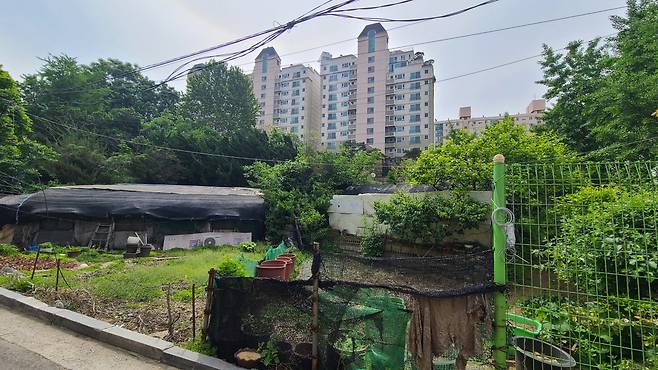 방배삼익 재건축 조합에서 학교 설립을 요청하고 있는 서초구 방배동 두레마을 부지. 비닐하우스촌 뒤로 방배어울림 아파트가 보인다. 서영상 기자