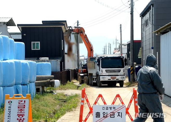 [청주=뉴시스] 조성현 기자 = 구제역이 발생한 11일 오전 충북 청주시 청원구 북이면의 한우농장에서 방역당국이 외부인 출입을 통제하고 있다. 2023.05.11. jsh0128@newsis.com