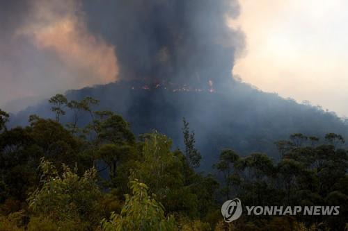 2019년 11월 호주 산불화재 현장  [EPA 연합뉴스 자료사진]