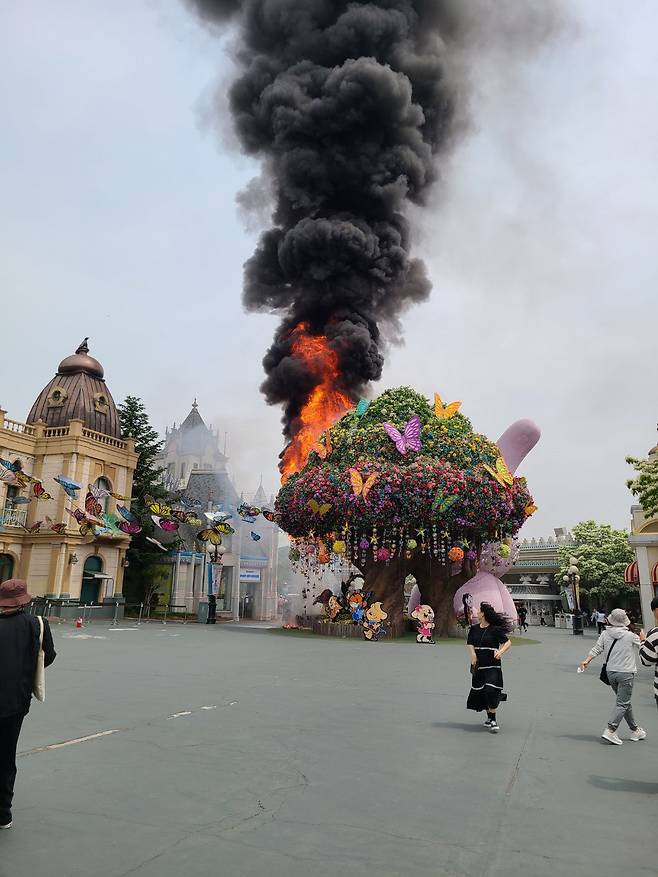12일 오전 11시 12분쯤 에버랜드 매직트리 인근에서 화재가 발생했다./독자 제공