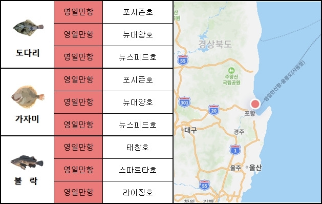 동해 남부