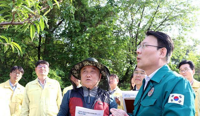 김인중 농림축산식품부 차관(맨 오른쪽)이 9일 충북 음성 복숭아농가를 찾아 저온피해 상황을 점검하고 있다. 사진제공=농식품부