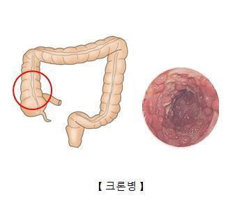 [자료사진]