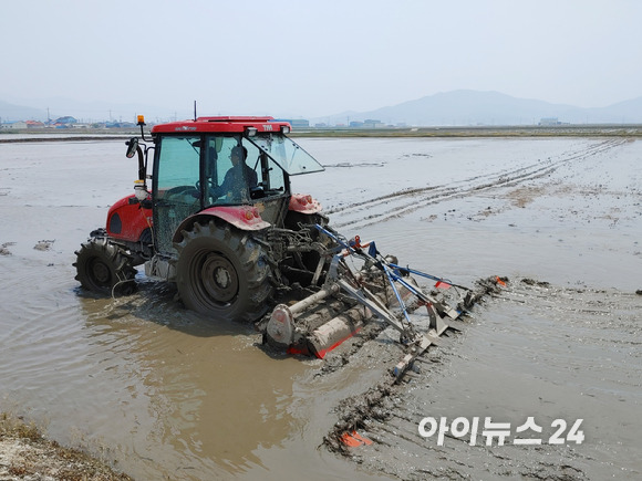 본격적인 모내기철을 맞아 농심(農心)이 분주하다. 13일 인천광역시 강화군 하점면 망월리 소재 논에서 한 농부가 모내기를 위해 논바닥을 평평하게 고르는 써레질을 하고 있다. [사진=정소희 기자]