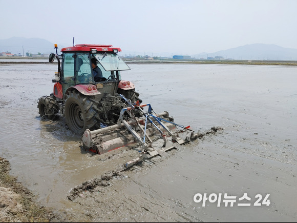 본격적인 모내기철을 맞아 농심(農心)이 분주하다. 13일 인천광역시 강화군 하점면 망월리 소재 논에서 한 농부가 모내기를 위해 논바닥을 평평하게 고르는 써레질을 하고 있다. [사진=정소희 기자]