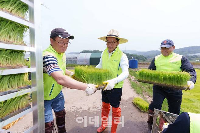 이석용 NH농협은행장(가운데)과 직원들이 지난 12일 경기 파주시 파평면 금파리 농가를 찾아 일손을 돕고 있다. (사진=농협은행)