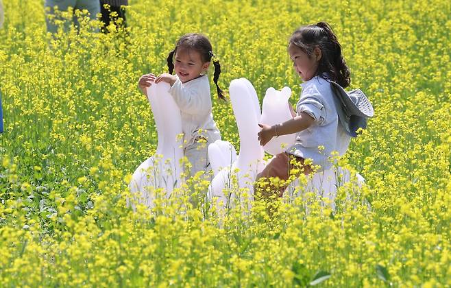 14일 오후 서울 서초구 서래섬에서 열린 유채꽃 축제를 찾은 시민들이 정취를 만끽하고 있다. 백소아 기자