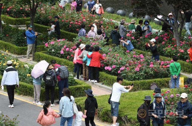 14일 서울장미축제가 열린 서울 중랑구 중랑장미공원을 찾은 시민들이 기념촬영을 하고 있다.