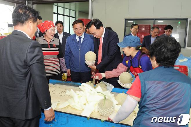 나주 세지멜론 선별 작업.(전남농업기술원 제공) 2023.5.15/뉴스1