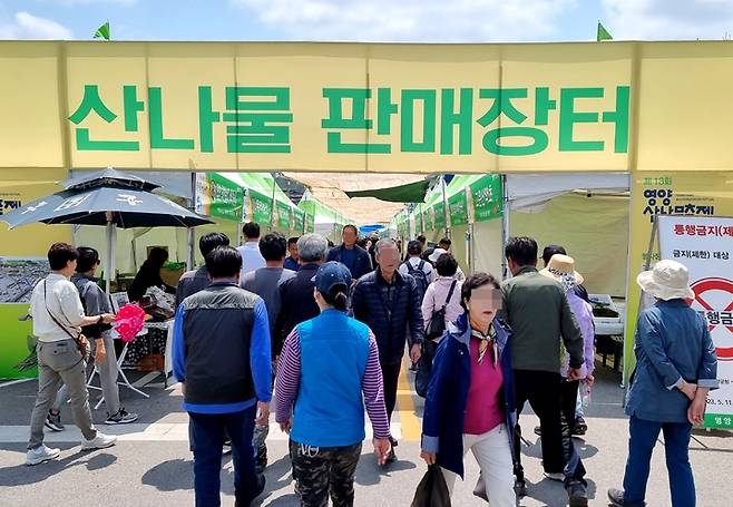 '제18회 영양산나물축제'에서 산나물판매장터에 방문객들의 발걸음이 이어지고 있다. (사진=영양군 제공) *재판매 및 DB 금지