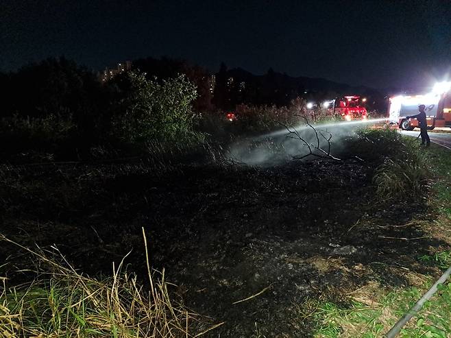 [부산=뉴시스] 2022년 10월10일 오전 6시 5분께 부산 북구 대동화명대교 아래 화명생태공원 갈대밭에서 불이 났다. (사진=부산소방재난본부 제공) *재판매 및 DB 금지