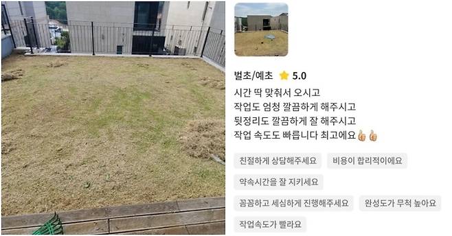 캡이 게재한 벌초 작업 중인 사진과 후기. 캡 사회관계망서비스(SNS) 계정 캡처