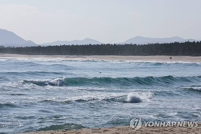 기상청 "강원 동해 북동쪽 인근 바다서 규모 4.0 지진 발생" [연합뉴스 자료사진]