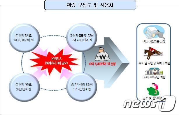 (감사원 제공)/