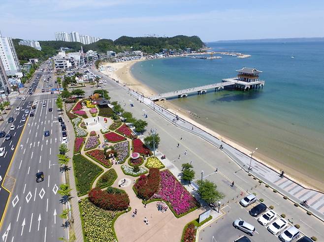 [포항=뉴시스] 강진구 기자 = 경북 포항시는 오는 20일 장미꽃이 만발한 영일대 장미원에서 ‘날마다 장미꽃 같아라’를 부제로 ‘2023 포항 바다장미축제’를 개최한다고 16일 밝혔다. 사진은 영일대 장미원 전경.(사진=포항시 제공0 2023.05.16.photo@newsis.com     *재판매 및 DB 금지