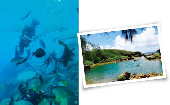 다이빙을 체험할 수 있는 피시아이 수중 전망대, 용암이 만든 자연풀 ‘이나라한 천연 수영장’(왼쪽부터). [재이 제공]