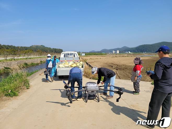 삼척시 벼 드론직파 작업.(삼척시 제공) 2023.5.17/뉴스1