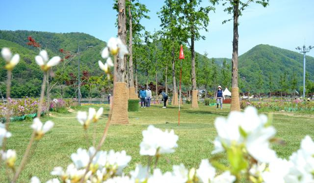 전국 부부(가족) 파크골프대회 1차 예선을 하루 앞둔 10일 참가 선수들이 화천군 하남면 거례리 북한강변에 조성된 산천어 파크골프장에서 연습라운딩을 하고 있다. 화천군 제공