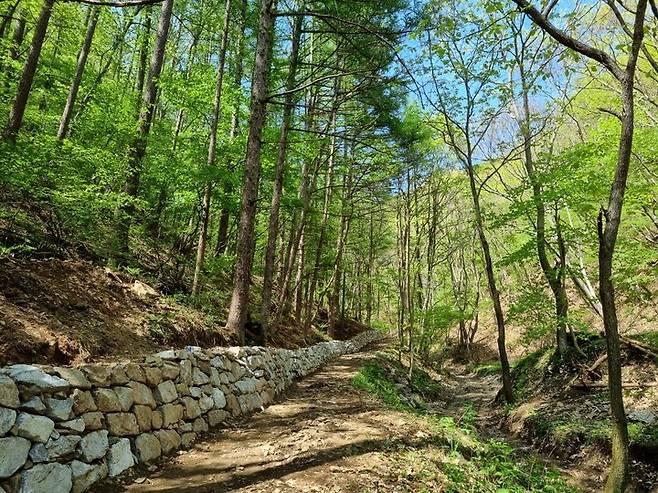 금산군 진산성지 숲길 정비가 완료돼 27일 개통된다.  2023. 05. 17 금산군 *재판매 및 DB 금지