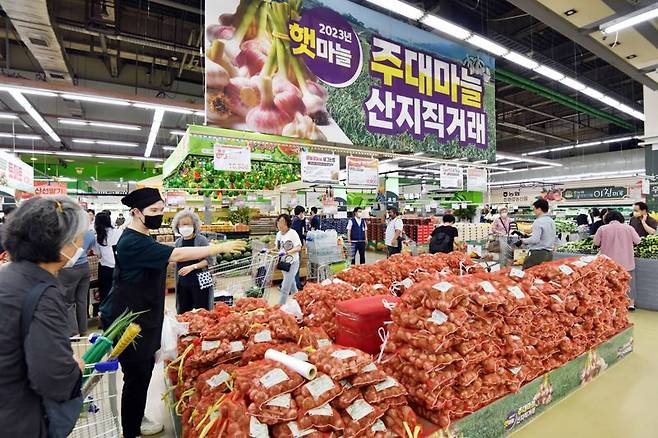 18일 서울 서초구 하나로마트 양재점에서 직원들이 '햇 주대 마늘'을 선보이고 있다.사진=박범준 기자