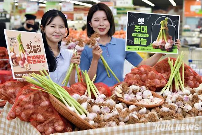 18일 오전 서울 서초구 하나로마트 양재점에서 직원들이 '햇 주대 마늘'을 선보이고 있다. 농협유통ㆍ농협하나로유통은 하나로마트 63개 전 판매장에서 올해 첫 수확한 '햇 주대 마늘'을 최대 45% 할인된 가격에 판매한다.