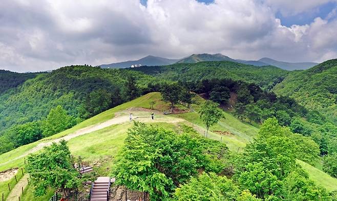 몽토랑산양목장에는 주변 풍광을 즐길 수 있는 데크가 곳곳에 마련되어 있다. 사진제공|몽토랑 산양목장