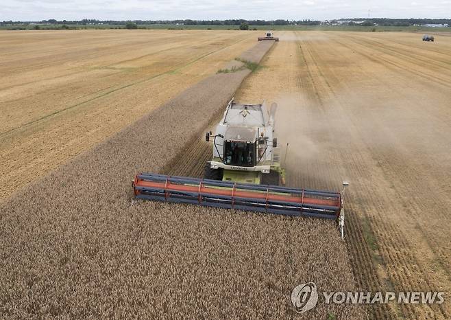 우크라이나 키이우주의 한 경작지에서 밀을 수확하는 모습 [AP 연합뉴스자료사진. 재판매 및 DB 금지]