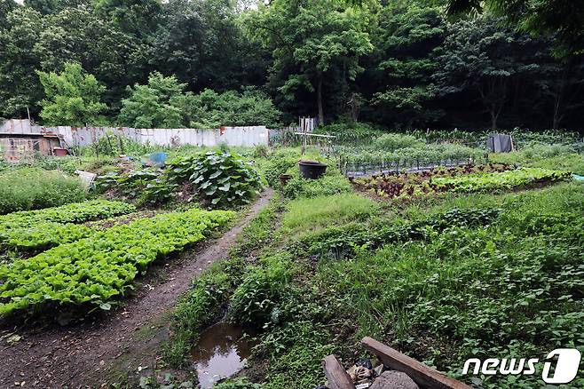 김경협 의원은 지난해 6월18일 이상수 전 노동부 장관의 부천시 역곡동 149번지 땅 668㎡(200평대)를 2차례에 걸쳐 3억4400만원의 근저당권을 설정해 사실상 소유했음에도 부동산 거래 신고를 하지 않은 혐의를 받고 있다. 사진은 이상수 전 노동부 장관의 토지. 2021.6.17/뉴스1 ⓒ News1 정진욱 기자