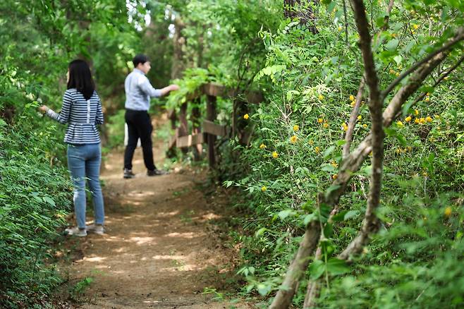 렛츠런파크서울 대표 산책로 오감길. 사진제공=한국마사회