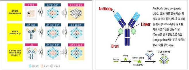 [서울=뉴시스] 항체-약물 접합체 (ADC) 개요 (사진=오송첨단의료산업진흥재단 제공) *재판매 및 DB 금지