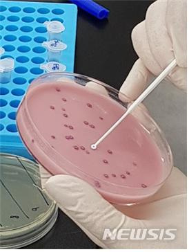 【대구=뉴시스】대구시 보건환경연구원의 원인균 보균검사 모습이다. 뉴시스DB. 2023.05.19. photo@newsis.com