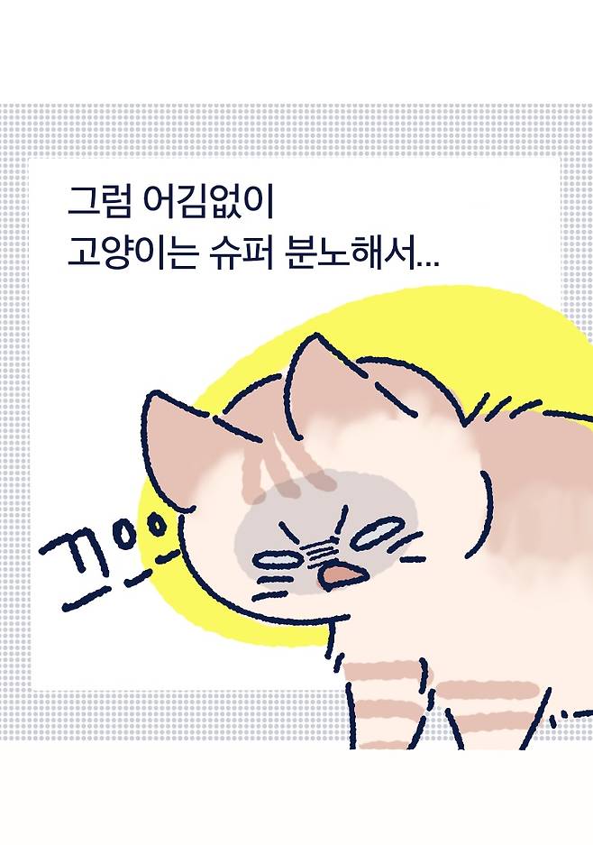 그럼 어김없이 고양이는 슈퍼 분노해서... 끄으으 열은