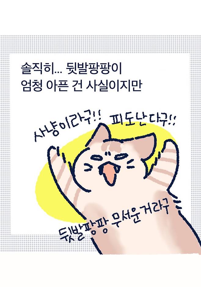 솔직히... 뒷발팡팡이 엄청 아픈 건 사실이지만 피도난다구!! 사냥이라구!! 무서운거라구 뒷발팡팡