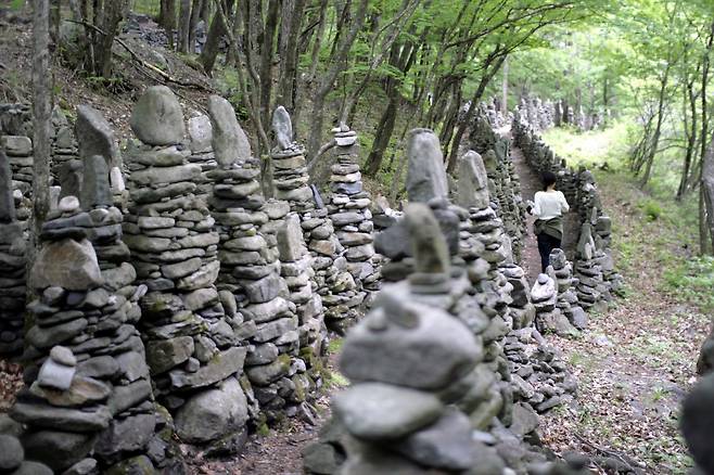 '노추산 모정탑길'에서 한 여인이 26년간 쌓아 올렸다는 돌탑 3000개를 만난다. 알음알음 찾은 이들의 기도와 소원이 돌탑에 더해지고 있다. / 박근희 기자