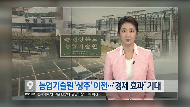 2017년 6월 29일 KBS대구 9시 뉴스.