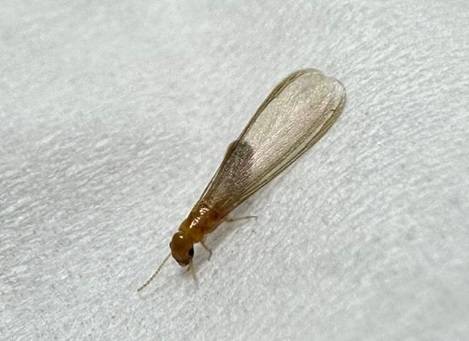 사진출처 = 연합뉴스