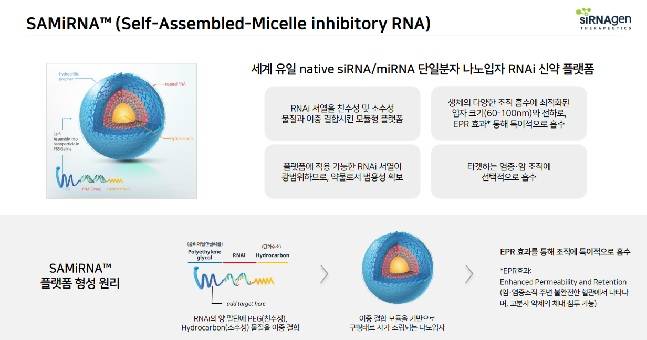 바이오니아의 RNAi 원천 기술./자료=바이오니아