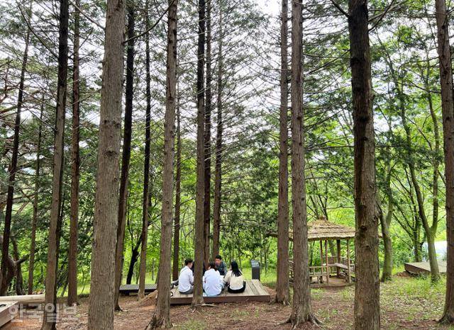 내장산생태탐방원의 단체 맞춤형 프로그램인 솔티숲 차담.