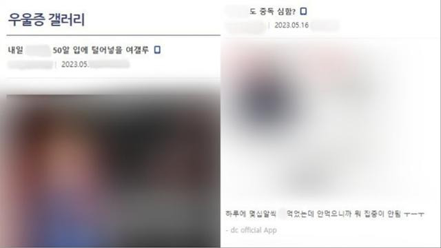 온라인 커뮤니티 디시인사이드 '우울증 갤러리'에 올라온 약물 복용 관련 내용. 우울증 갤러리 캡처