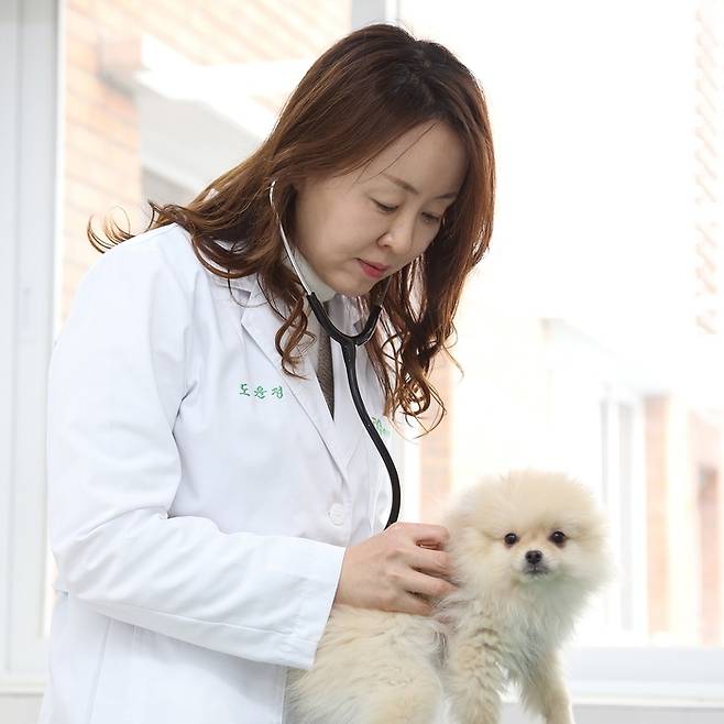반려견을 진료하는 장면. 농촌진흥청 제공