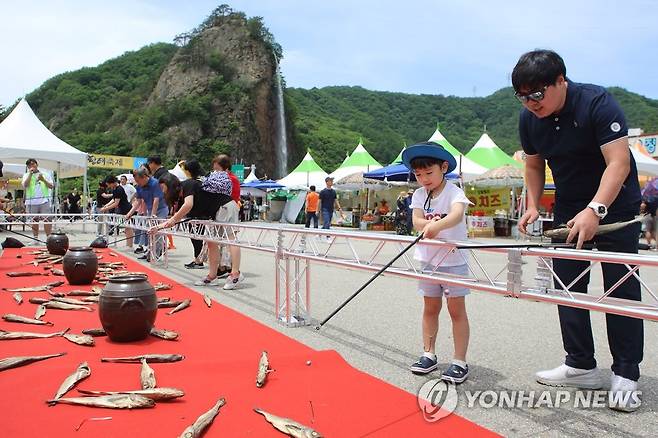 재밌는 황태 투호 [인제군 제공. 연합뉴스 자료사진]