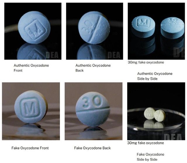 미국 마약단속국(DEA)이 공개한 실제 약국 처방약(위)과 펜타닐 함유 '가짜 알약' 비교 사진 /DEA