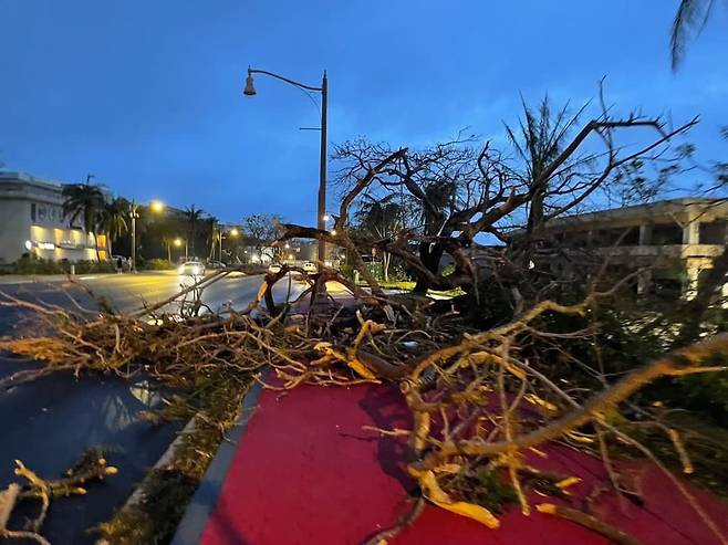 제2호 태풍 ‘마와르’ 영향으로 괌 대로변에 있는 나무가 쓰러져 있다./조상철씨 제공
