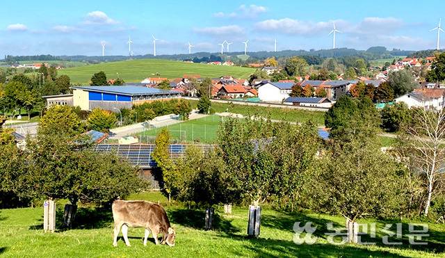 독일 남부의 에너지 자립 마을로 유명한 빌트폴츠리트시 전경. 저 멀리 풍력발전기가 보이고 집 지붕마다 태양광 발전 패널이 설치돼 있다.