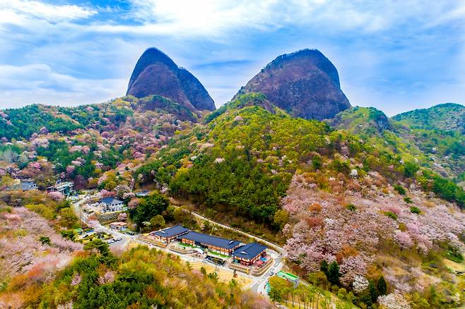 Panoramic view of Maisan in Jinan, North Jeolla Province (Korea Tourism Organization, Lee Jun-mo)